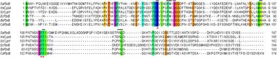 Pleiotropic Clostridioides difficile Cyclophilin PpiB Controls Cysteine-Tolerance, Toxin Production, the Central Metabolism and Multiple Stress Responses